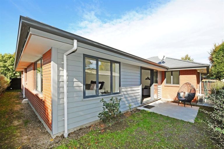 Photo of property in 31d Walpole Street, Waltham, Christchurch, 8023