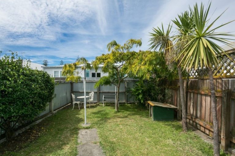 Photo of property in 51a Mcgrath Street, Napier South, Napier, 4110