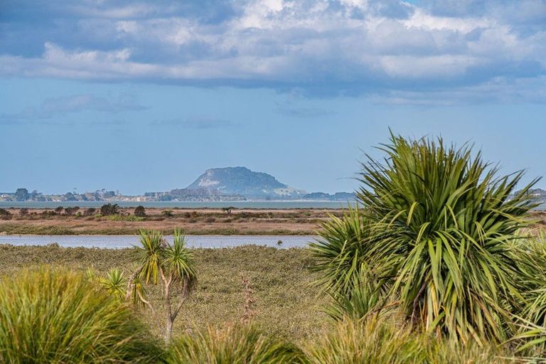 Photo of property in 184d Prestidge Road, Aongatete, 3181