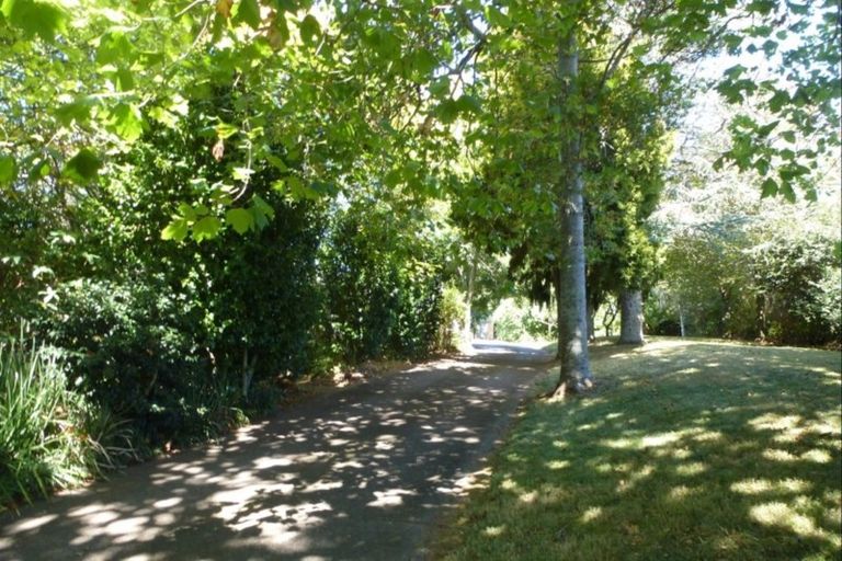 Photo of property in 214 Kauri Point Road, Tahawai, Katikati, 3170