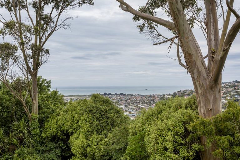 Photo of property in 131 Forfar Street, Clyde Hill, Dunedin, 9011