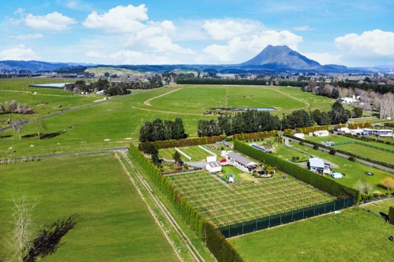 Photo of property in 16 Hogbin Road, Te Teko, Whakatane, 3193