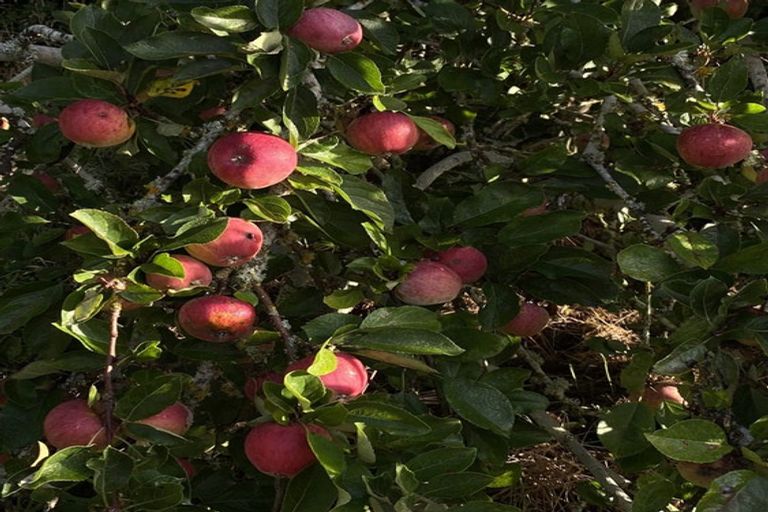 Photo of property in 1142 Garston-athol Highway, Athol, 9793