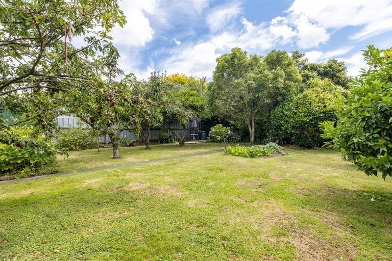 Photo of property in 61 Manson Street, Terrace End, Palmerston North, 4410