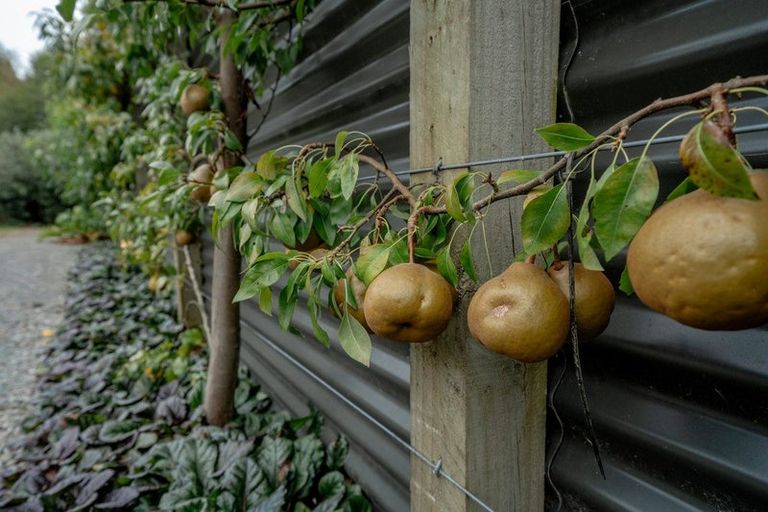 Photo of property in 33 Beattie Road, Kawerau, 3127