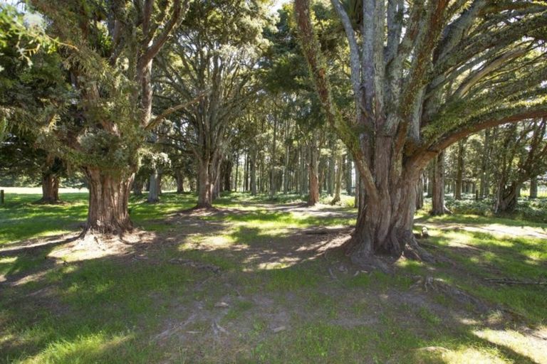 Photo of property in 72 Valley Road, Paraparaumu, 5032