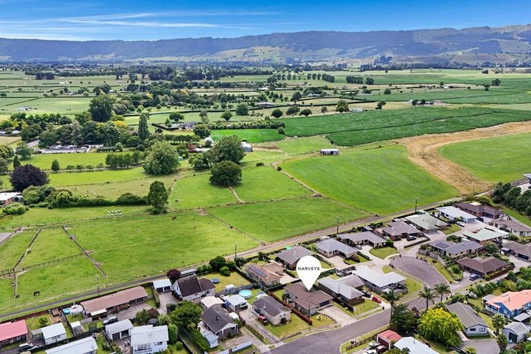 Photo of property in 28 Nikau Place, Matamata, 3400