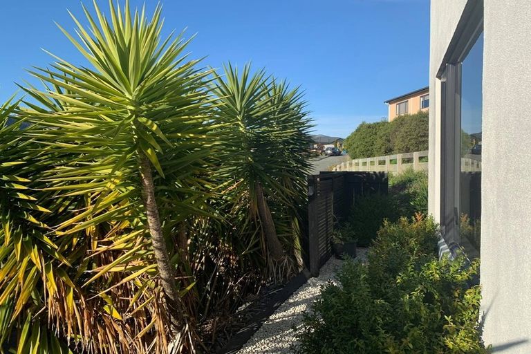 Photo of property in 35 Saint Lawrence Street, Toi Toi, Nelson, 7010