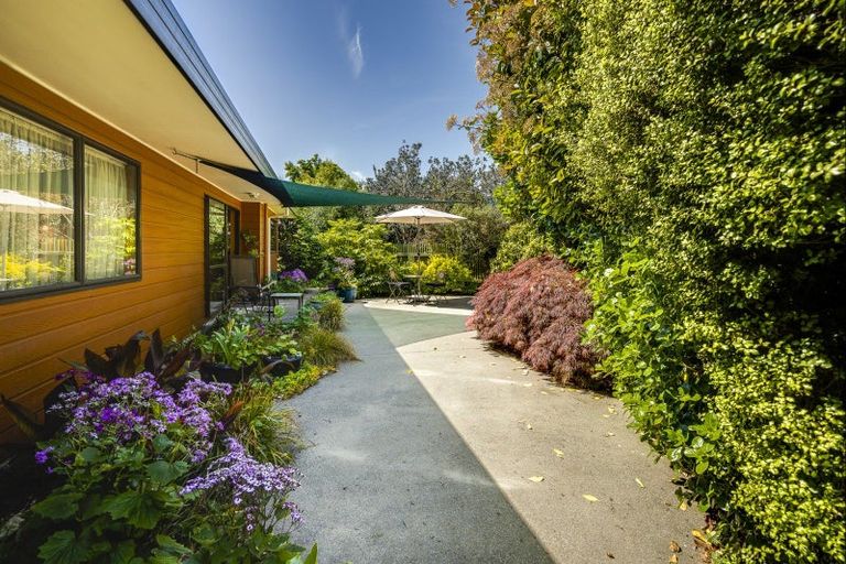 Photo of property in 1311 Caroline Road, Mayfair, Hastings, 4122