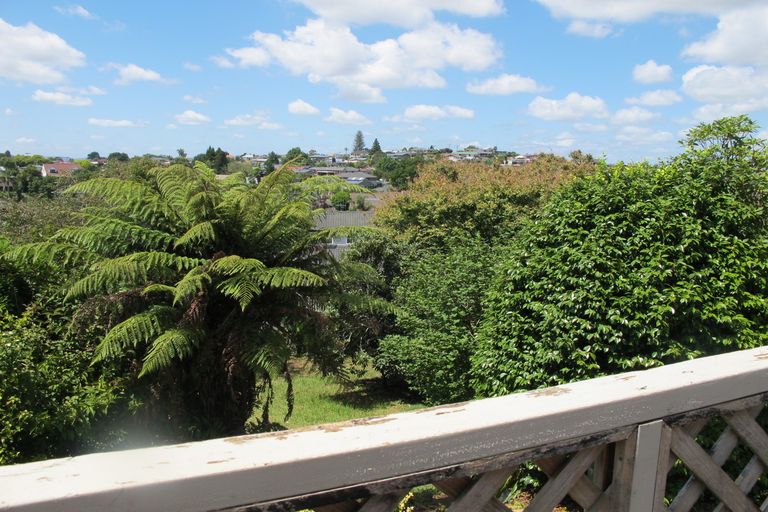 Photo of property in 471 Wallace Terrace, Te Awamutu, 3800