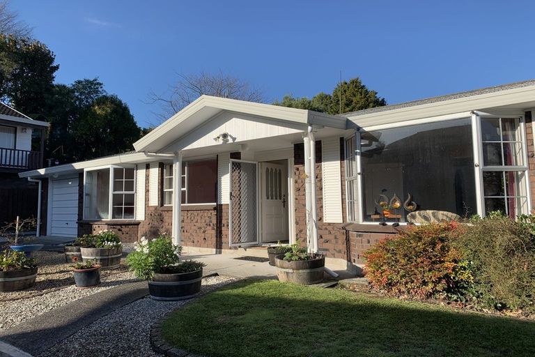 Photo of property in 19 Perindale Drive, Chartwell, Hamilton, 3210