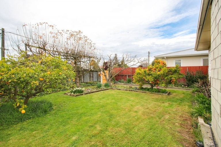 Photo of property in 220 Lumsden Place, Akina, Hastings, 4122