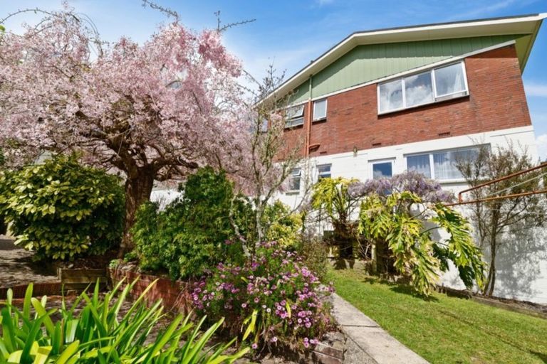 Photo of property in 13 Peachgrove Terrace, Hillcrest, Rotorua, 3015