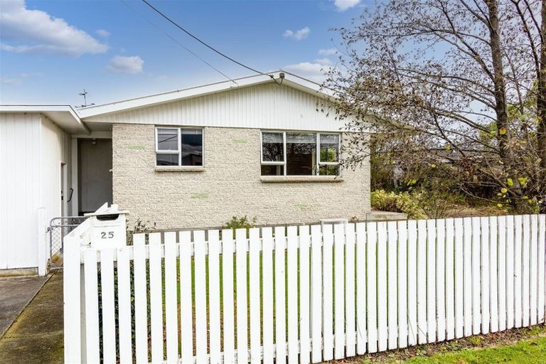 Photo of property in 25 Upper Plain Road, Masterton, 5810
