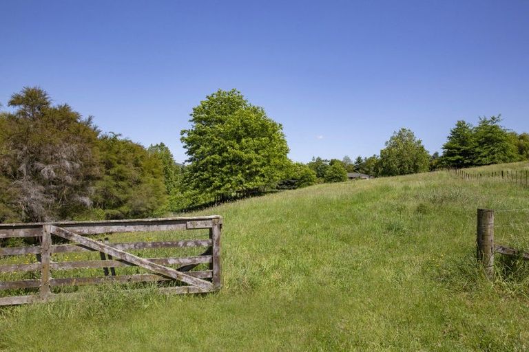 Photo of property in 1006 Tirau Road, Karapiro, Cambridge, 3494