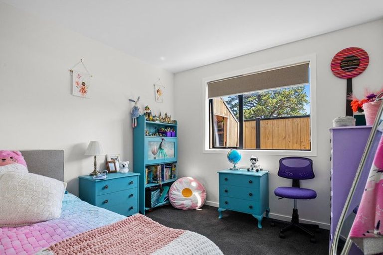 Photo of property in 48 Bragato Way, Cromwell, 9310