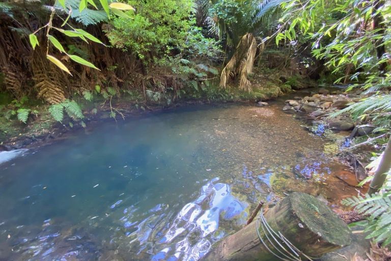 Photo of property in 314 Busby Road, Tahawai, Katikati, 3170