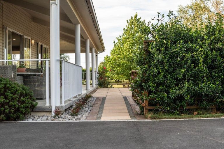 Photo of property in 81 Racecourse Road, Cambridge, 3493