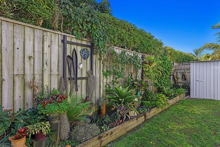 Photo of property in 11 Banksia Lane, Whakatane, 3120