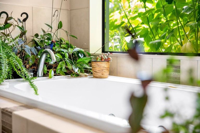 Photo of property in 29 Linehan Road, Te Awamutu, 3875