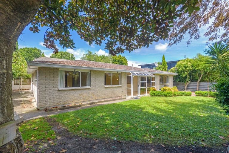 Photo of property in 479a College Street, Hokowhitu, Palmerston North, 4410