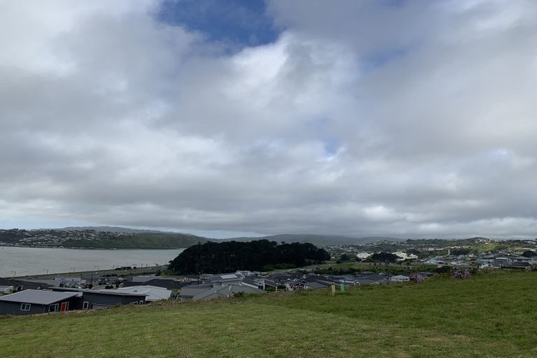 Photo of property in 66 Queen Charlotte Drive, Aotea, Porirua, 5024