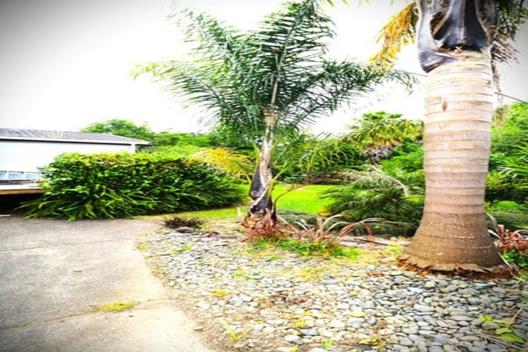 Photo of property in 365 Mill Creek Road, Kaimarama, Whitianga, 3591
