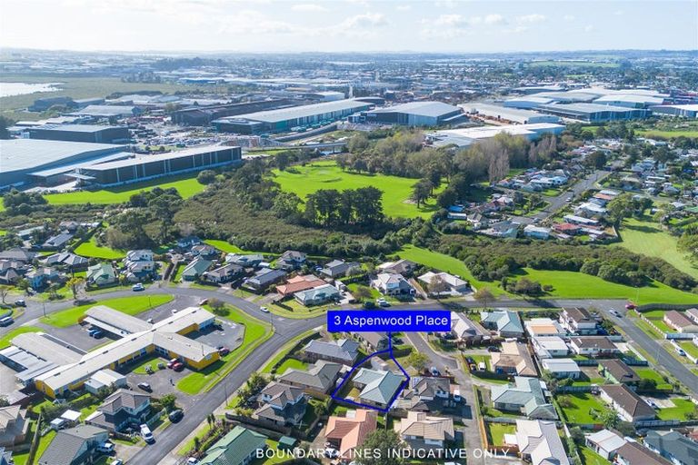 Photo of property in 3 Aspenwood Place, Favona, Auckland, 2024