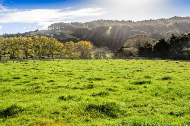 Photo of property in 1149b Whangaripo Valley Road, Whangaripo, Wellsford, 0972