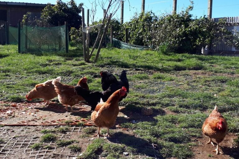 Photo of property in 389 Wortley Road, Waiongana, Inglewood, 4389