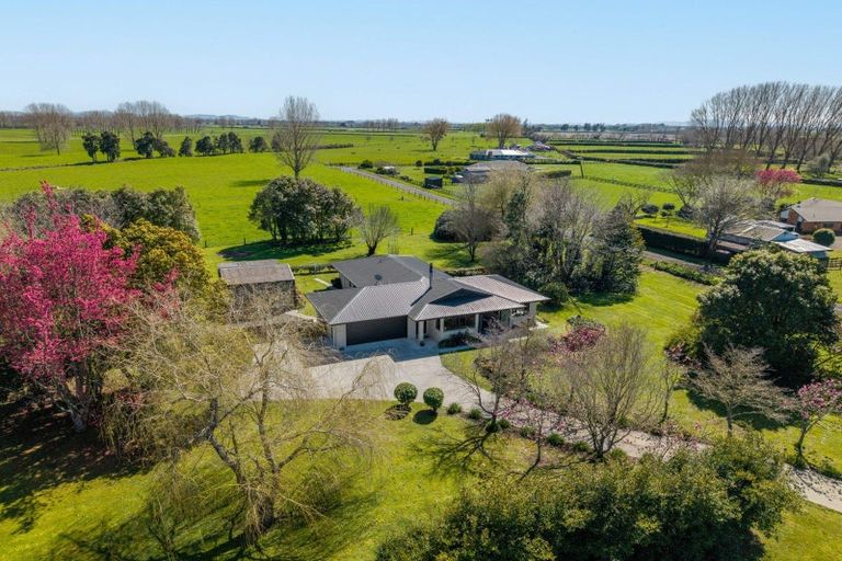 Photo of property in 895 Tauwhare Road, Tauwhare, Hamilton, 3287