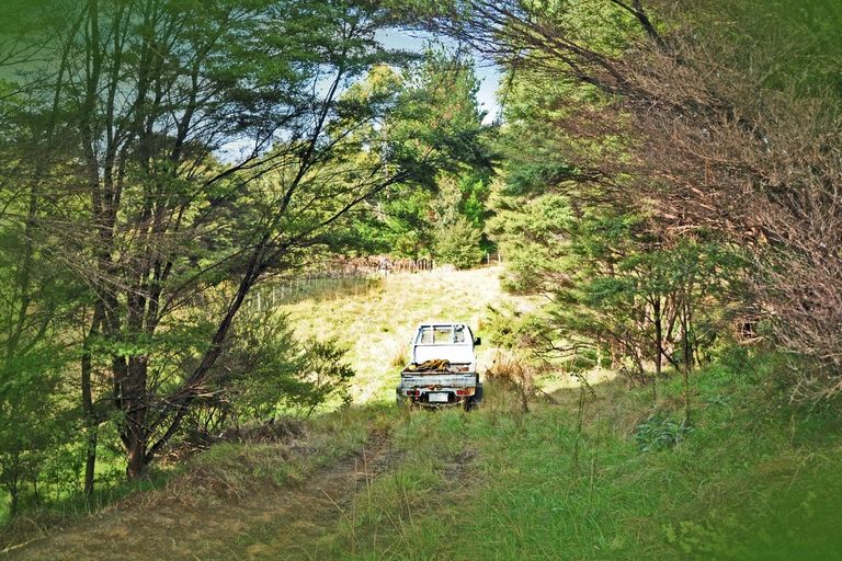 Photo of property in 100 Birdsall Road, Whangateau, Warkworth, 0985