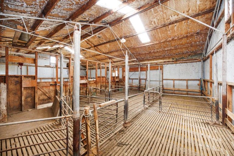 Photo of property in 852 Penny Road, Sanson, Palmerston North, 4479