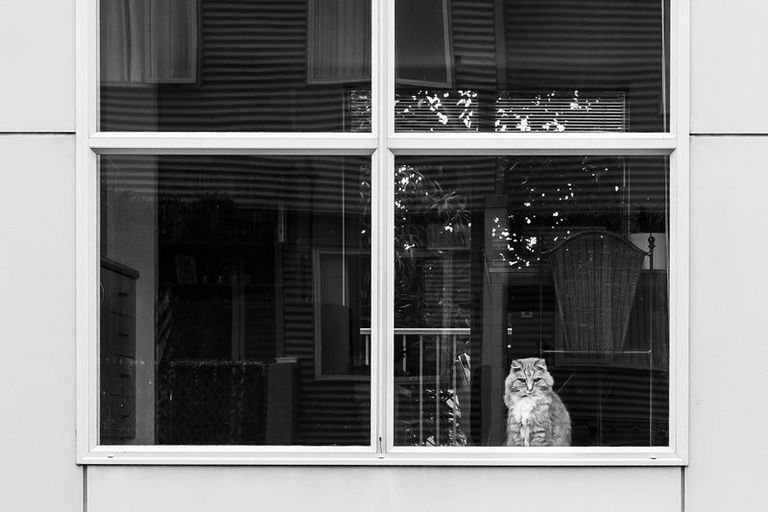 Photo of property in 6/54 Champion Street, Edgeware, Christchurch, 8013