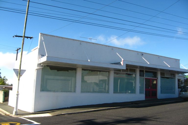 Photo of property in 125 Glenpark Avenue, Maryhill, Dunedin, 9011