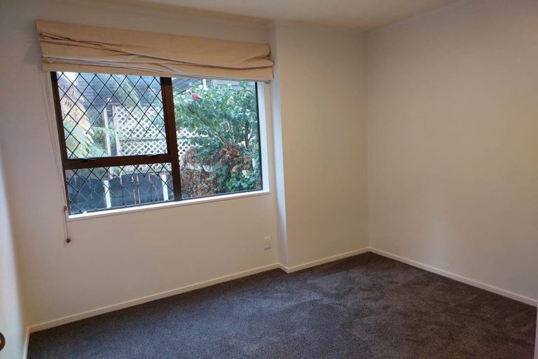 Photo of property in 123 Coromandel Street, Newtown, Wellington, 6021