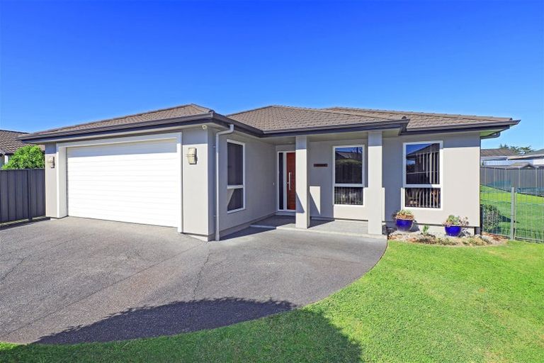 Photo of property in 18 Lowry Place, Frimley, Hastings, 4120