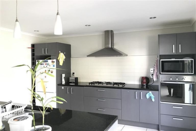 Photo of property in 29 Coachman Drive, Flat Bush, Auckland, 2016