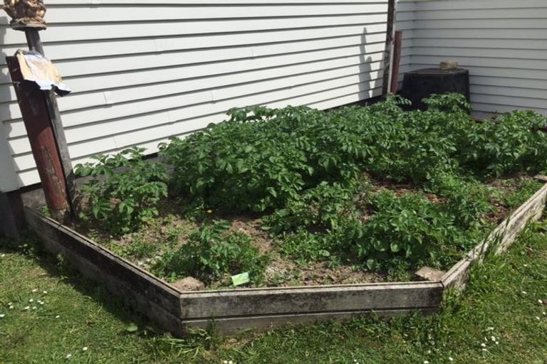 Photo of property in 21 Walker Terrace, Dinsdale, Hamilton, 3204