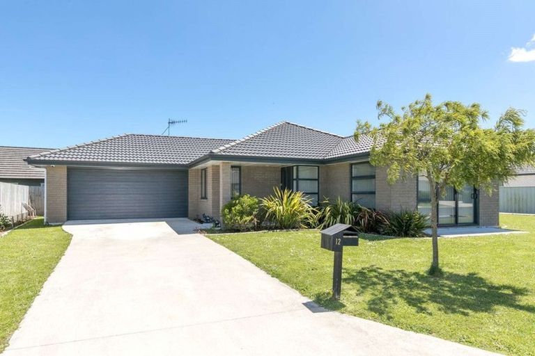 Photo of property in 12 Astor Avenue, Dinsdale, Hamilton, 3204