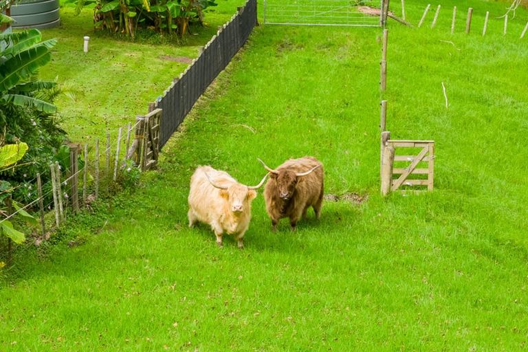 Photo of property in 2239b State Highway 12, Paparoa, 0571