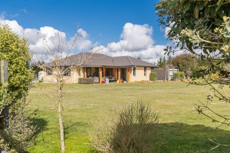 Photo of property in 604 Downs Road, Eyrewell, Rangiora, 7476
