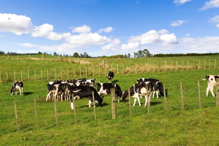 Photo of property in 456 Climie Road, Cardiff, Stratford, 4391