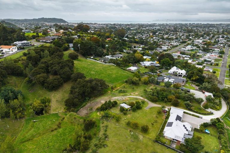 Photo of property in 59 Ayton Street, Mangapapa, Gisborne, 4010