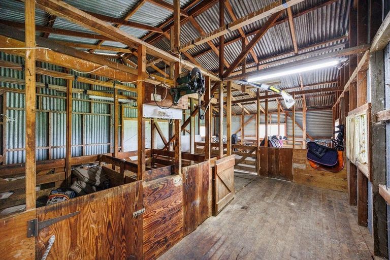 Photo of property in 1193 Taonui Road, Colyton, Feilding, 4775