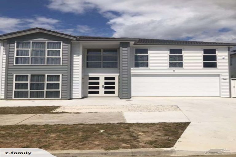 Photo of property in 19 Frisken Road, Flat Bush, Auckland, 2019