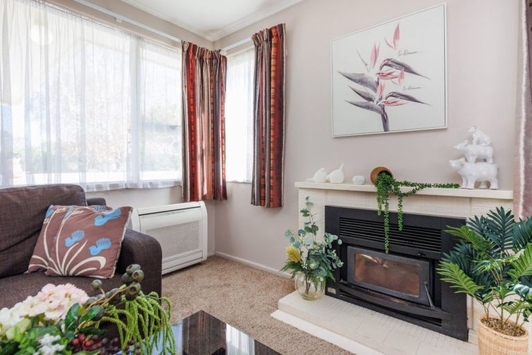 Photo of property in 19 Piper Place, Roslyn, Palmerston North, 4414