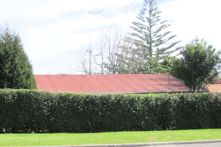 Photo of property in 245 Ohauiti Road, Ohauiti, Tauranga, 3112