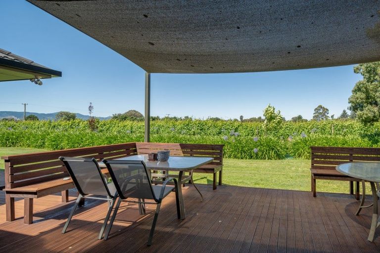 Photo of property in 19 Terrace Road, Renwick, 7204