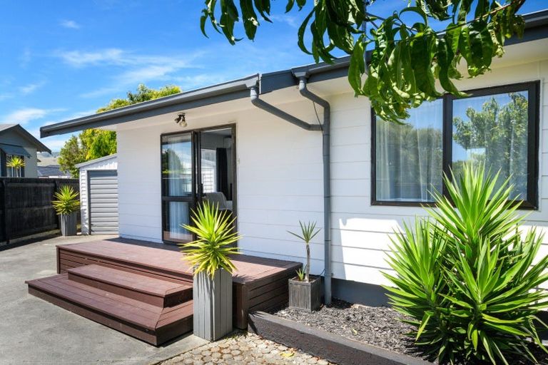 Photo of property in 272 Cambridge Avenue, Ashhurst, 4810